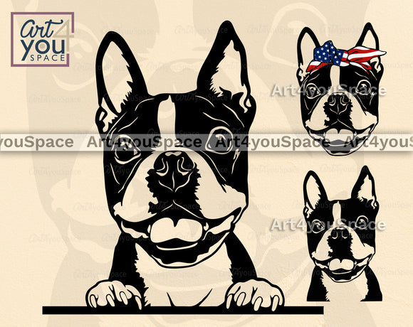 Boston Terrier SVG