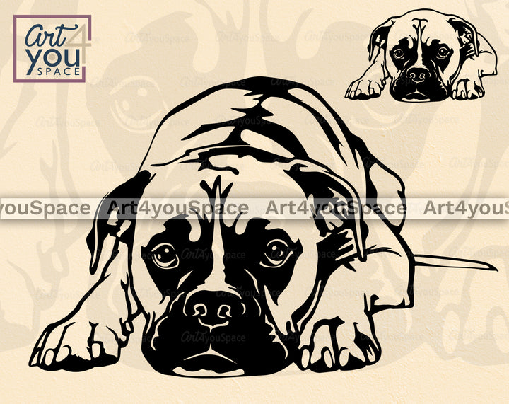 Boxer SVG