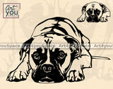 Boxer SVG