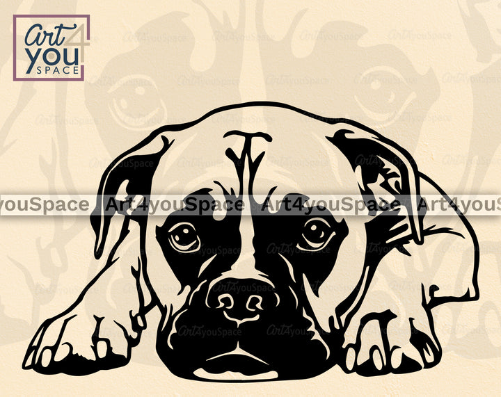 Boxer Art