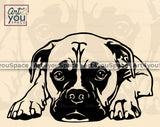 Boxer Art