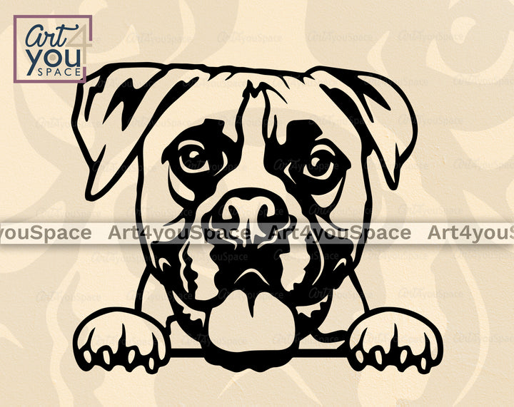 peeking boxer dog vector