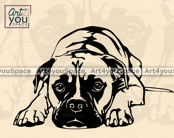 Boxer Vector