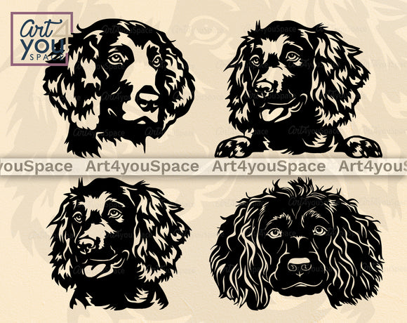 Boykin Spaniel SVG