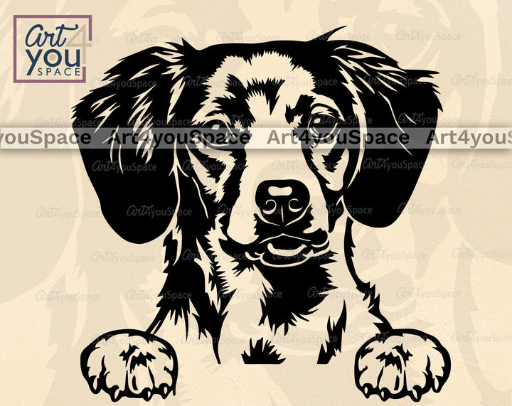 Brittany Spaniel Clipart