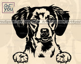 Brittany Spaniel Clipart