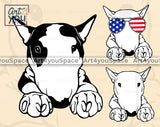 English Bull Terrier PNG