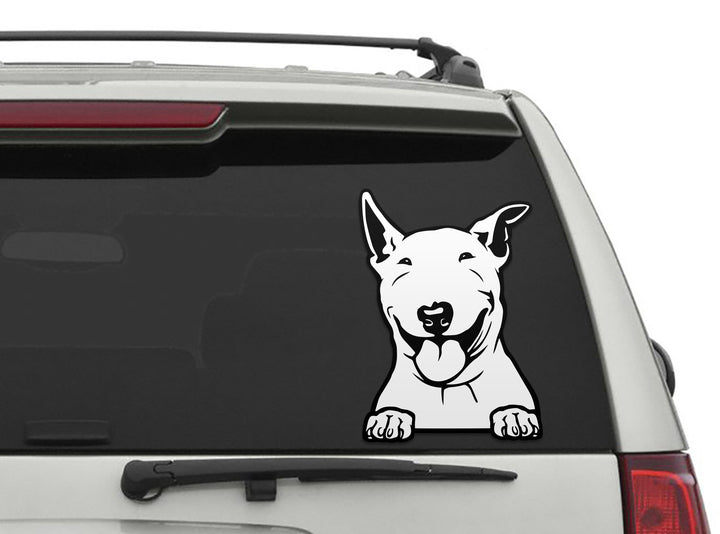 Bull Terrier PNG