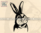 Rabbit Vector