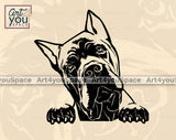 peeking cane corso vector