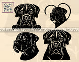 Cane Corso SVG