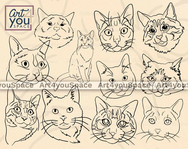 How to Draw a Realistic Cat Step-by-step - Udemy Blog