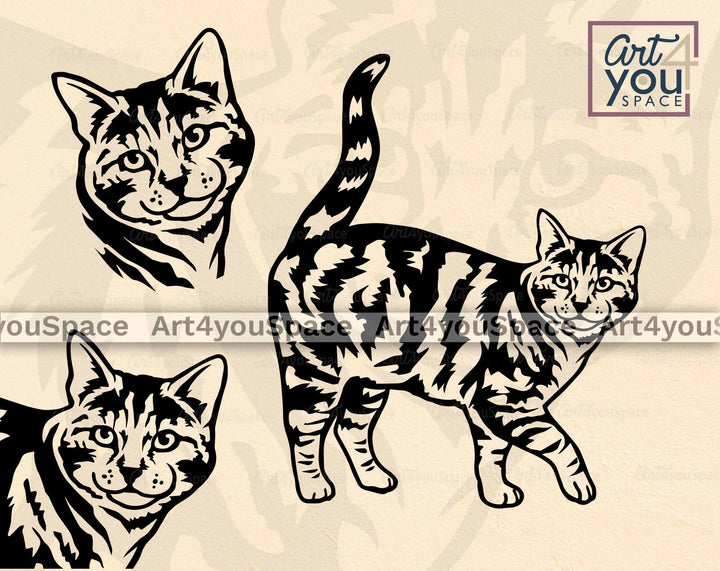 Tabby Cat Svg Files