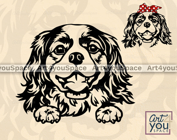 Cavalier King Charles Spaniel svg