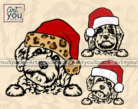 Three Images of Cavapoo Dog With Santa Hat 