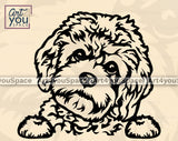 Cavapoo Clipart