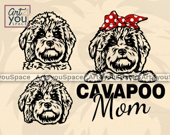 Cavapoo SVG