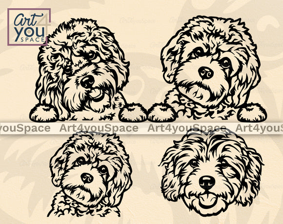 Cavapoo SVG