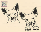 Chihuahua Clipart