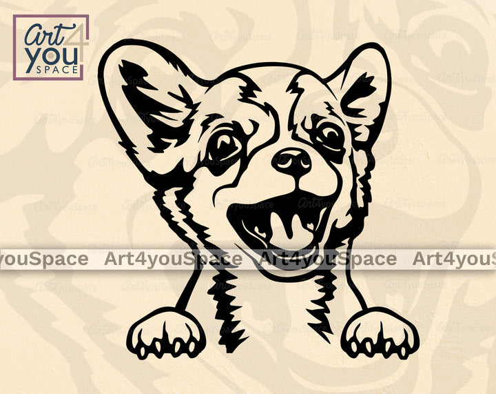 chihuahua_png
