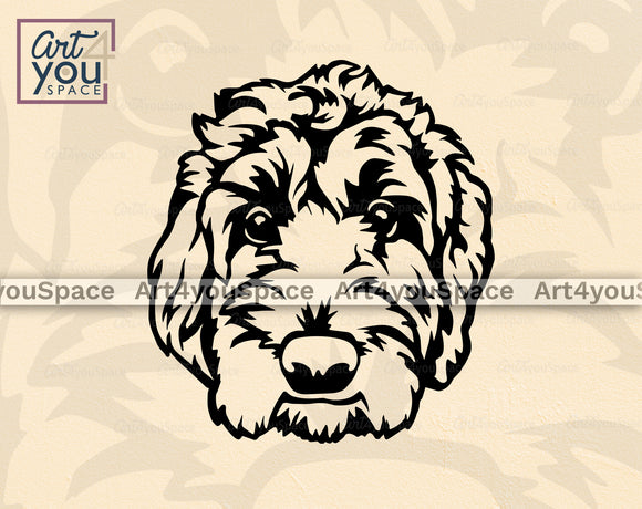Cockapoo
