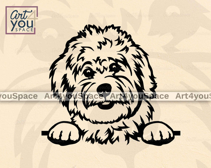 Coton de Tulear peeking SVG File