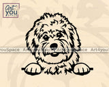 Coton de Tulear peeking SVG File