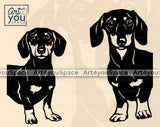 Dachshund dog peeking from the corner svg files