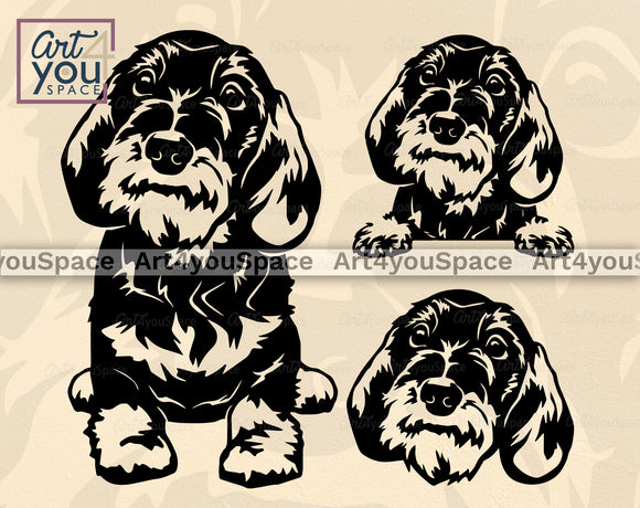 Dachshund_wirehaired_svg