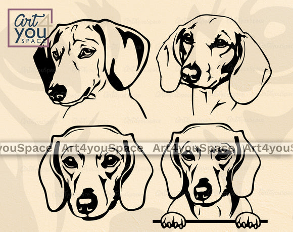 Smooth Dachshund SVG