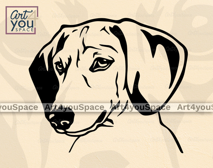 Smooth Dachshund Art