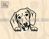 Cute Miniature Dachshund Face with paws Svg File