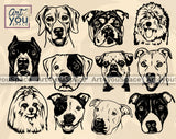 Dogs  SVG Bundle