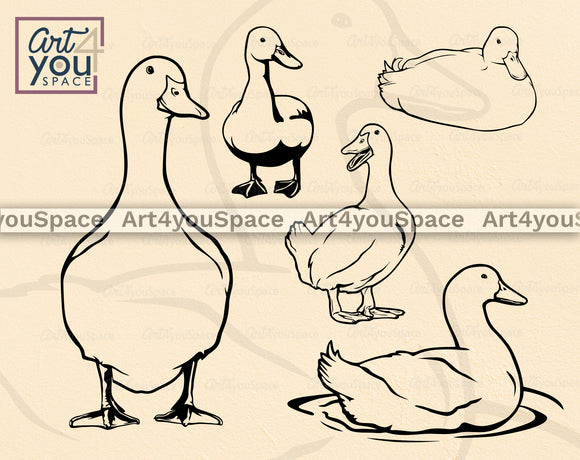 Duck SVG