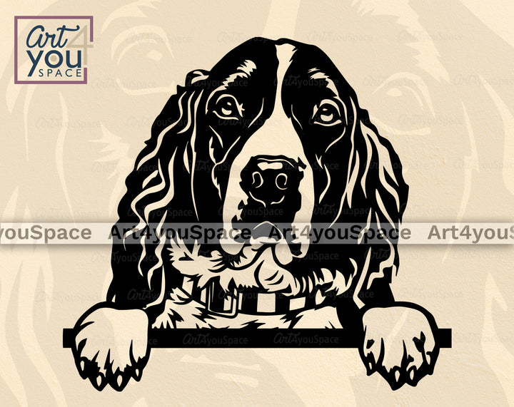 English Springer Spaniel PNG