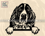 English Springer Spaniel PNG