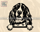 English Springer Spaniel Art