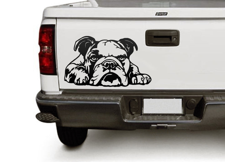 English Bulldog Vector