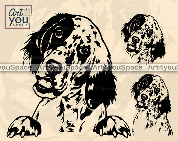 English Setter SVG