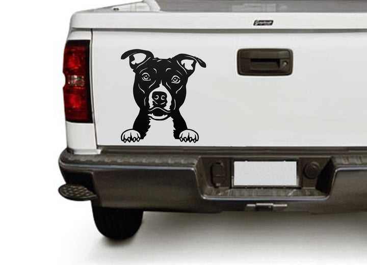 English_Staffordshire_Terrier_png