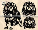English Toy Spaniel SVG