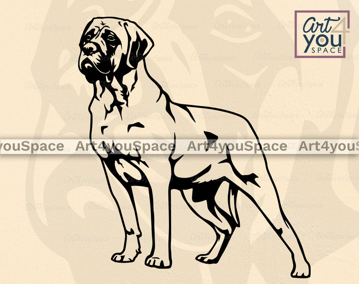 English Mastiff PNG