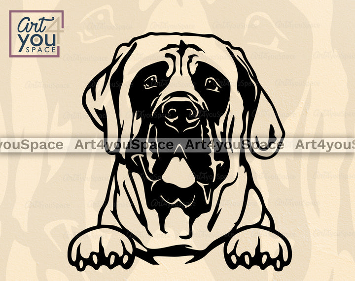 English Mastiff Vector