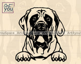 English Mastiff Vector