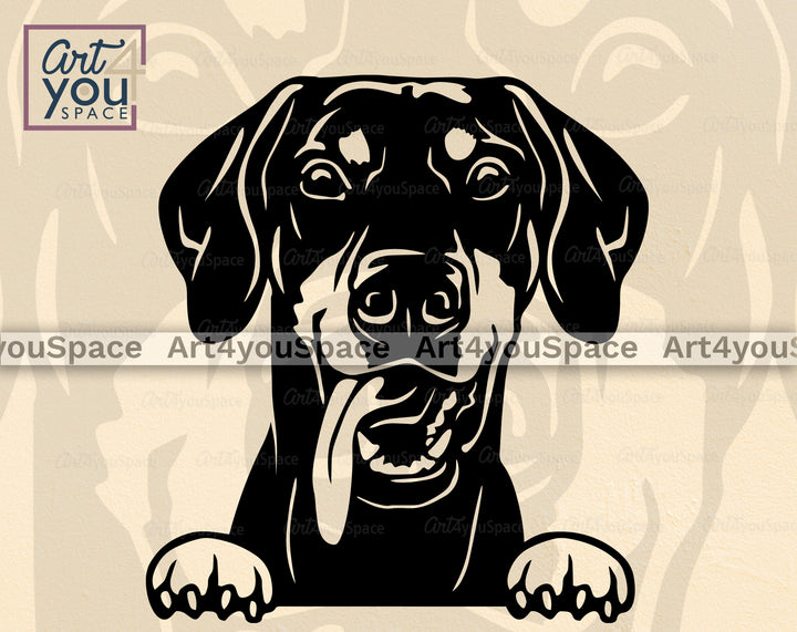 Doberman Pinscher Ffloppy PNG