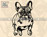 French Bulldog PNG