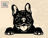 French Bulldog SVG