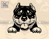 American Bully png file