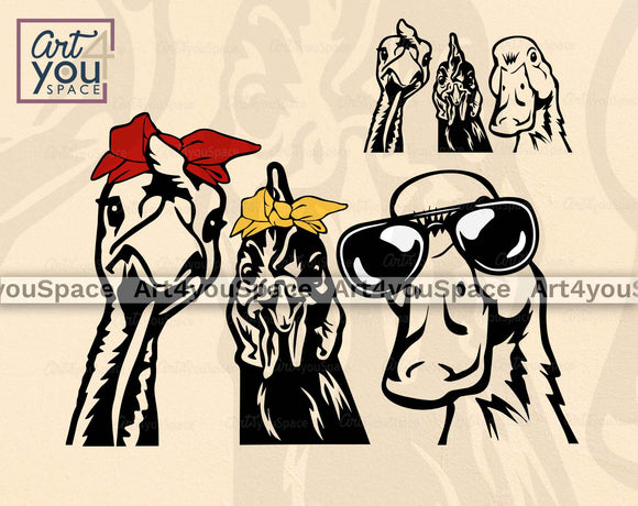 Funny Duck Chicken Turkey Head SVG PNG DXF Files Farm Animals With Bandana Sunglasses Vector Clipart Download, Cricut