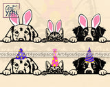 Cat Dog Easter SVG